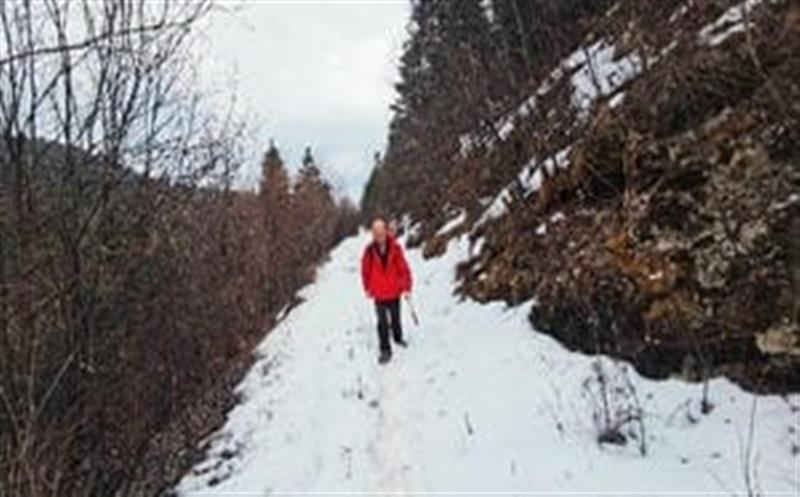 喜报频传，，，区调队再中标凉山州地勘基金项目