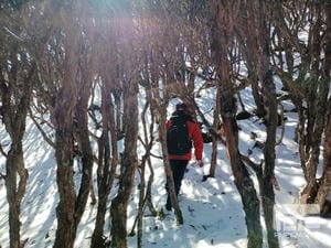 拉斯维加斯3133cc(中国集团)有限公司官网