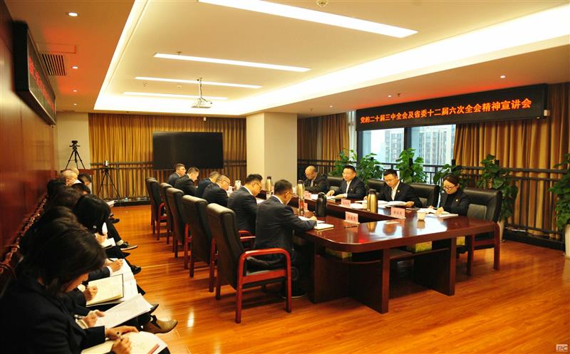 集团向导赴鑫顺矿业宣讲党的二十届三中全会及省委十二届六次全会精神
