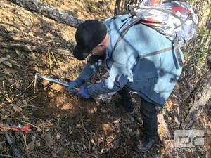 拉斯维加斯3133cc(中国集团)有限公司官网